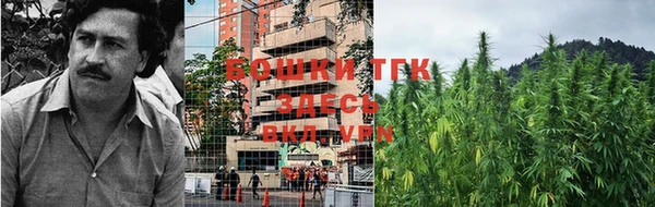 гашик Белокуриха