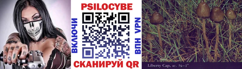 купить  сайты  Никольское  Галлюциногенные грибы Cubensis 